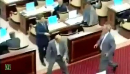 Best Fights in Parliaments 2015 - Very Funny