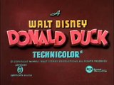 Donald Duck Donald's Camera -Disney Cartoon Episode