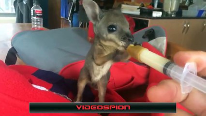 Best Epic & Funny Fails Compilation of the Week