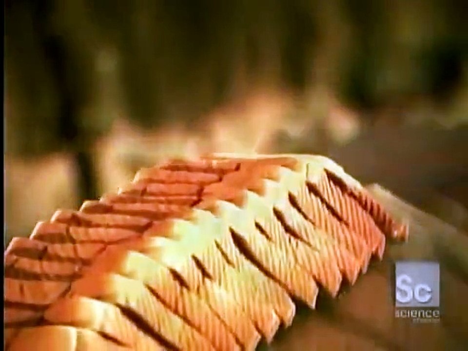 How It's Made Bread