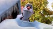 [HD] A Cute Talking Olaf Snowman at Disneyland - Meet Anna and Elsa from Frozen in Fantasy