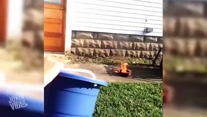 How Not to Put Out a Grease Fire