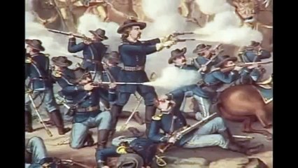 Rifles & Machine Guns (The History)