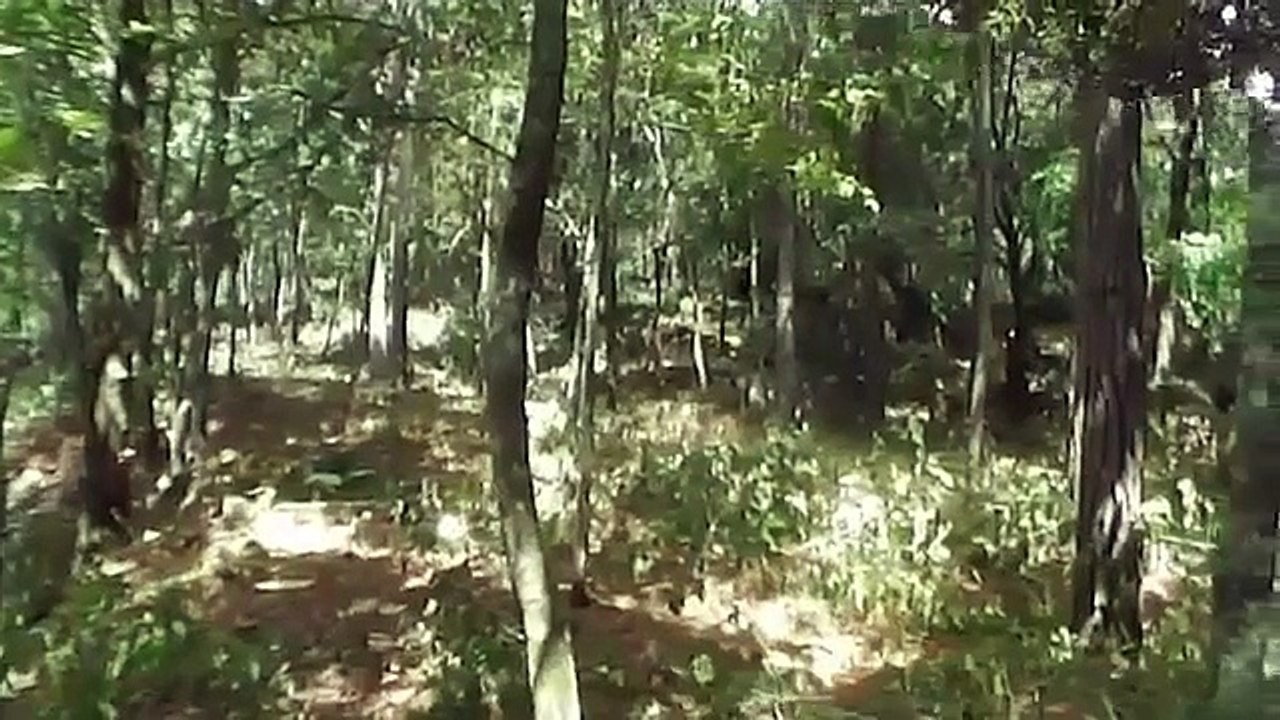 Venta de Terreno en Frente de La Laguna en Erandique Lempira