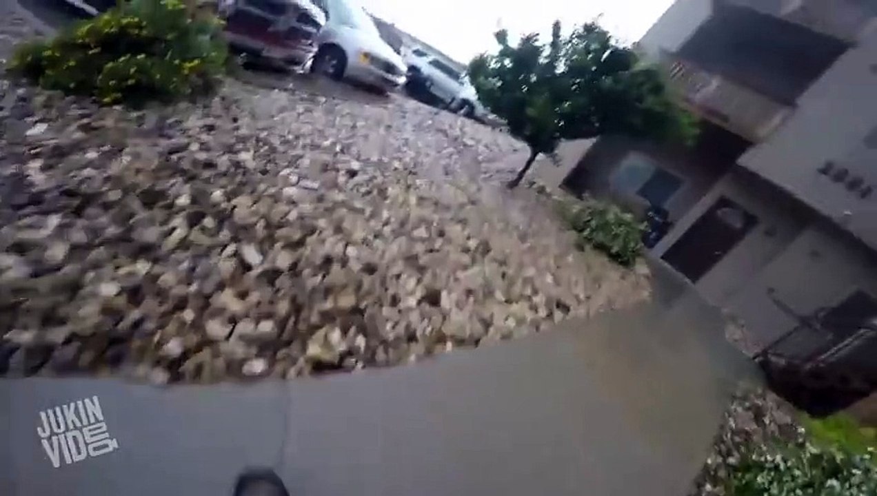 Guys Save Animals From Burning Apartment