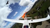 Hawk Attacks Plane  Unfriendly Skies