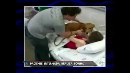 RS: Mulher com câncer terminal reencontra cachorro de estimação