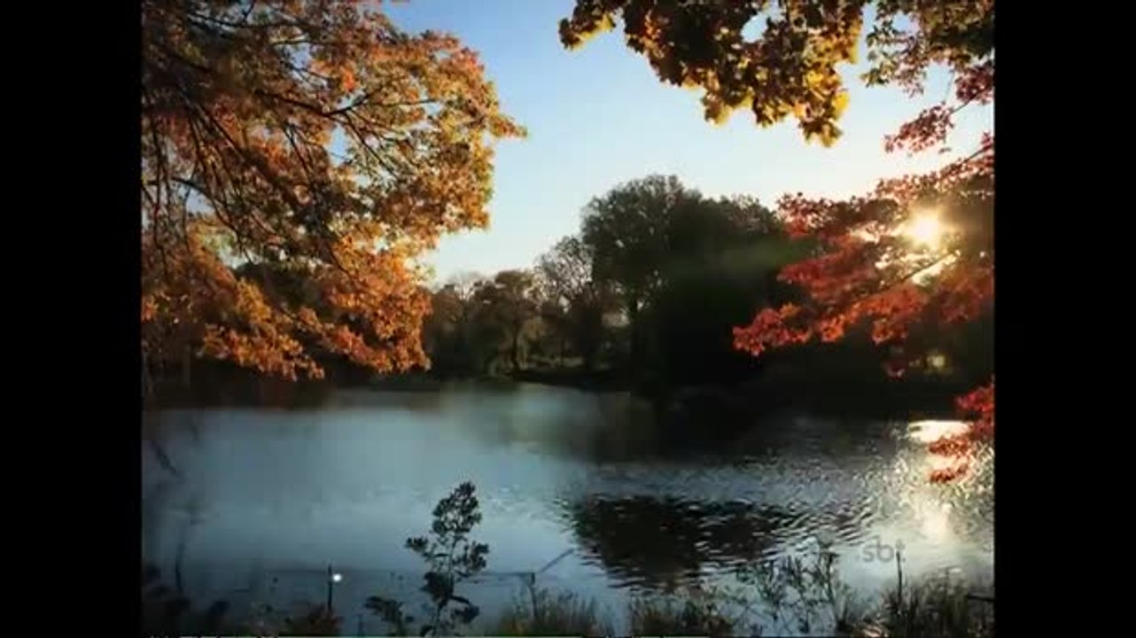 A beleza do outono em Nova York