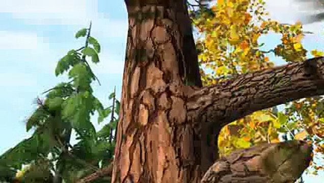 Маша и Медведь - Героями не рождаются (Заинька, а тебя спасти не нужно)