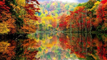 Autumn leaves E-Minor Smooth Jazz Fusion back track HD720 m2 Bassline5 Bob Roha dd24092015