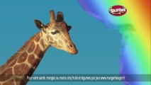 Publicité délirante de Skittles - La girafe