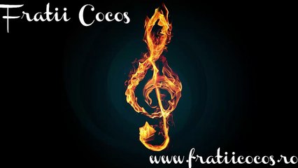 Program instrumental Nou 2015