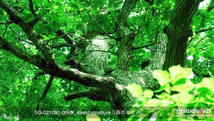 福嶋啓至　ポップな音楽集