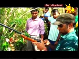 Meka Puduma Lokayak 05-11-15