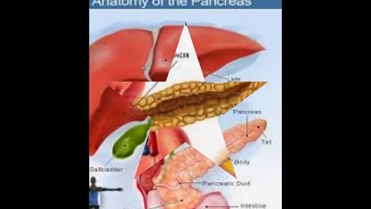 Ung thư tuyến tụy - By Bệnh Viên Ung Bướu Hưng Việt