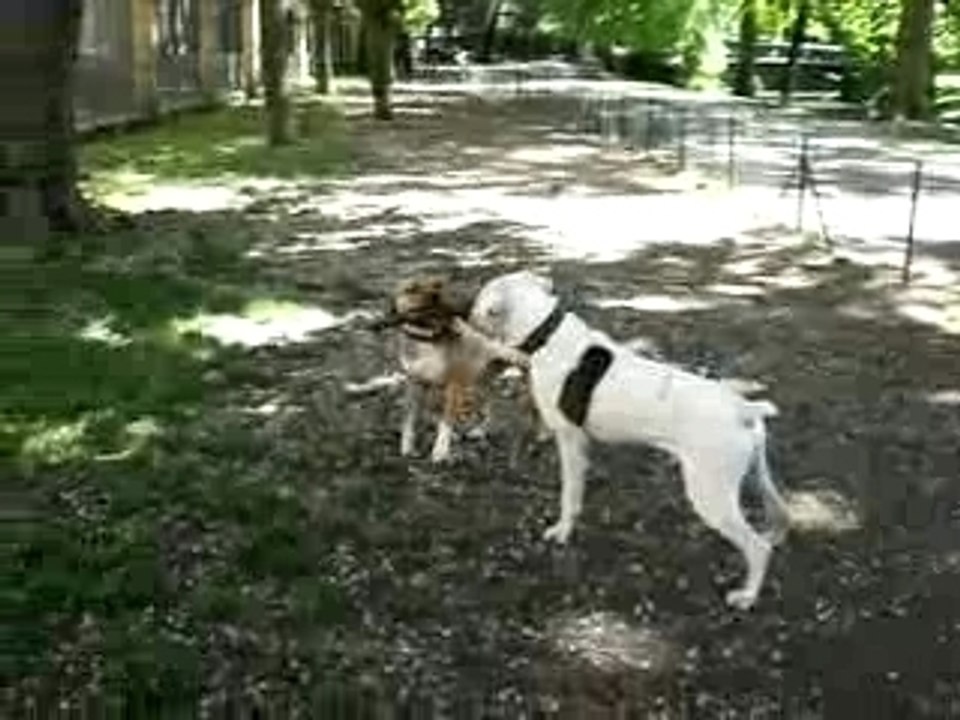 Allan et Nikita