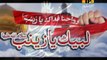 Mazloom Sham Bachra Zenab Da - Syed Raza Abas Shah - Official Video