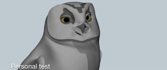 Legend of the Guardians Animation Tests