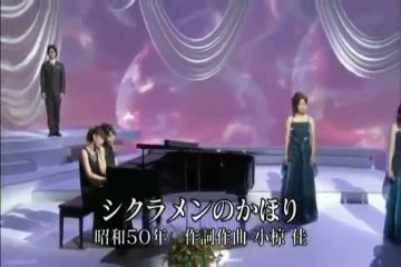 シクラメンのかほり・・フォレスタ