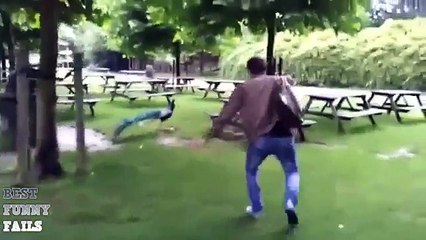 The Ultimate Funny Animals Compilation ✔ Best Wins Of 2015 Win Compilation