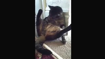 What An Idiot! - Komik videolar - Funny videos