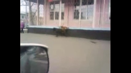 И такое бывает