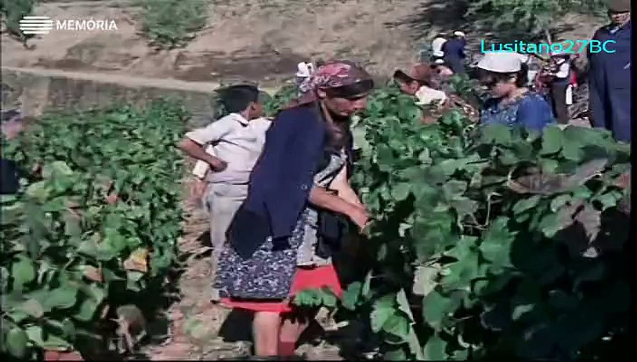 O Vinho do Porto, Ep1, Cepas e Fragas - RTP Memória