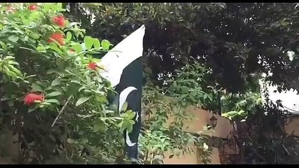 Keep that Flag up high!! - Bekaar Vines - Funz.lol