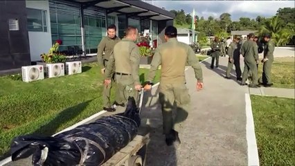 Colombia: Mueren 12 integrantes del clan Úsuga