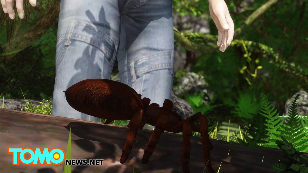 The Goliath Birdeater is the world