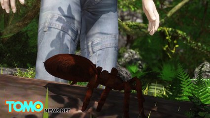 The Goliath Birdeater is the world's largest spider and is as big as a puppy
