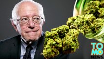 If elected, Bernie Sanders says he would seek to decriminalize weed
