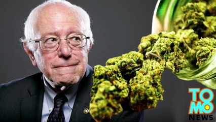 If elected, Bernie Sanders says he would seek to decriminalize weed