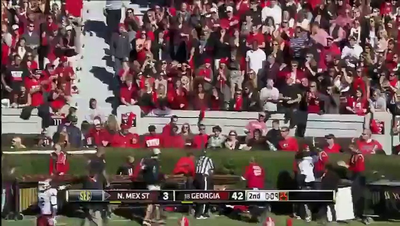Stuck In Hedges After Touchdown