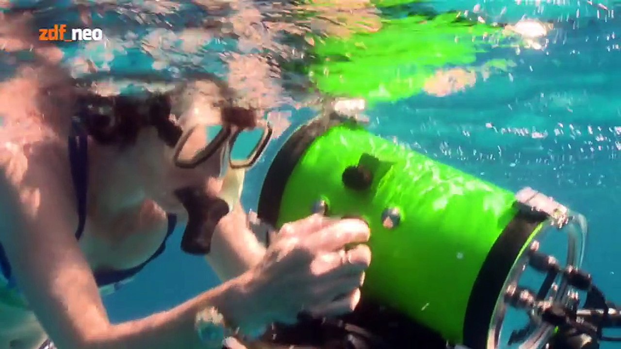 Wie Tiere denken -3. Soziale Intelligenz