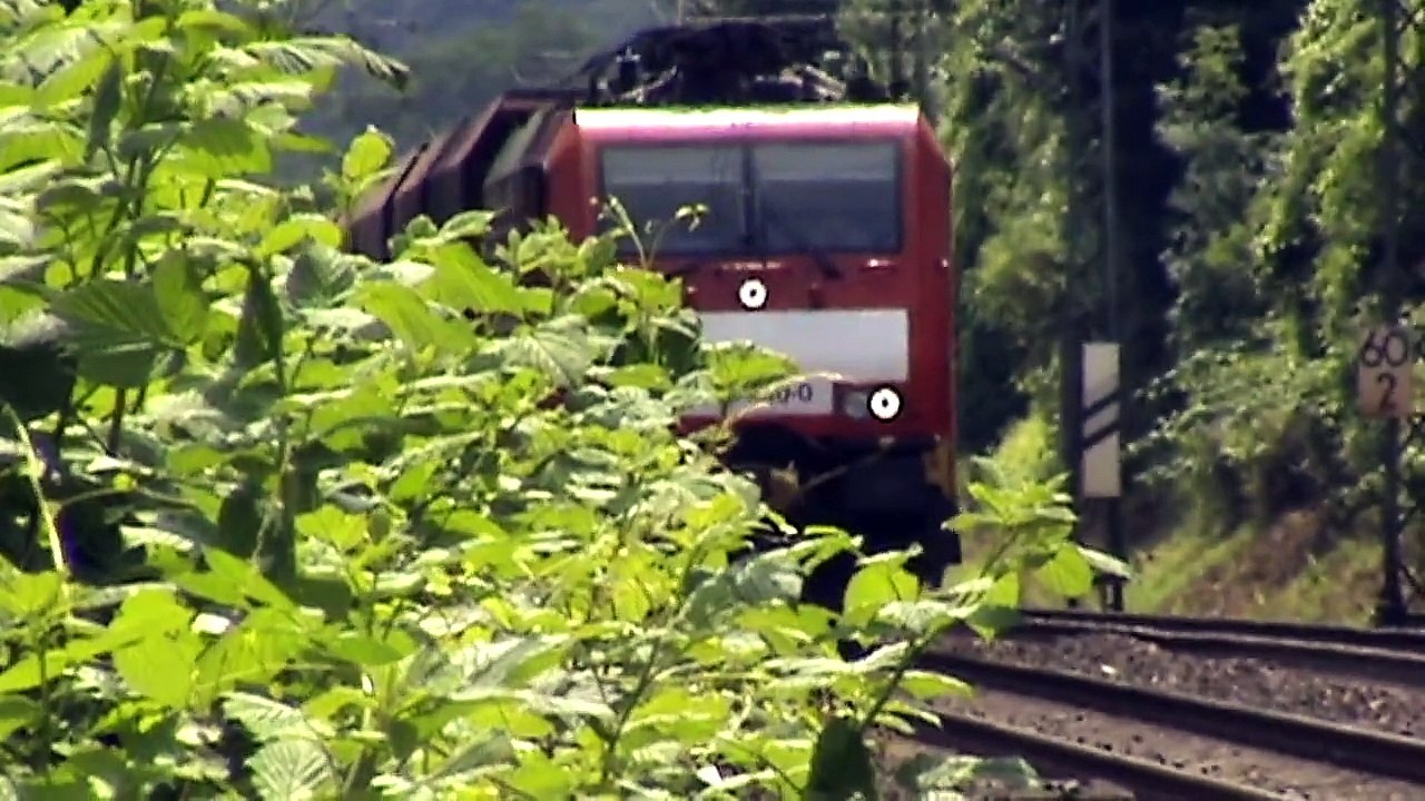 Züge zwischen Sinzig und Bad Breisig, NIAG 145, DB 189, DB 185, 3x 101, 3x 146, 6x 460