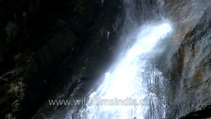 Waterfall near Taktsang monastery, Bhutan