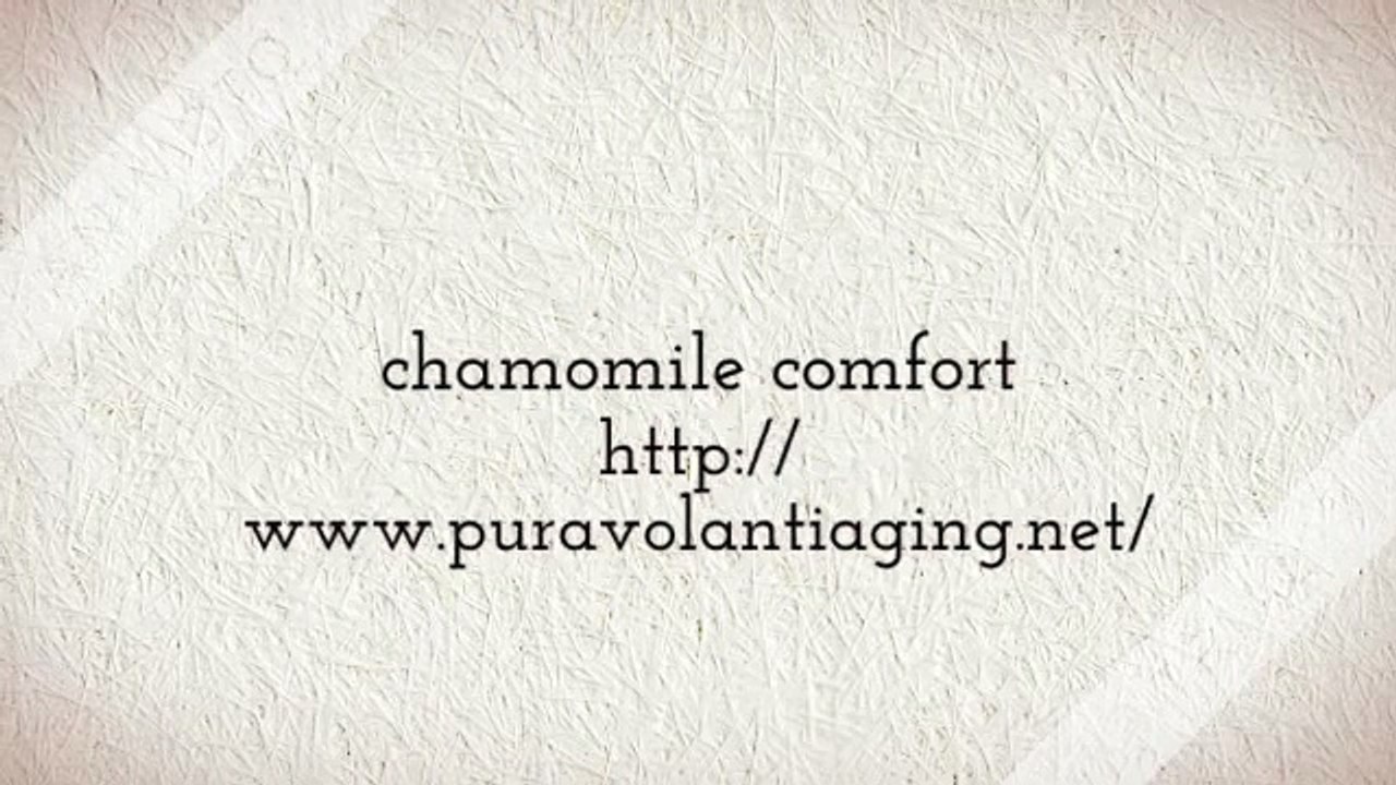chamomile comfort