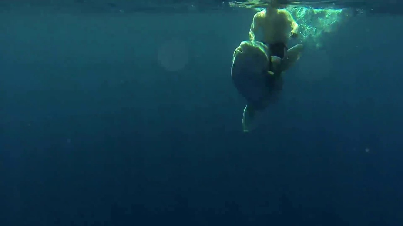 Friendship with fish..wow