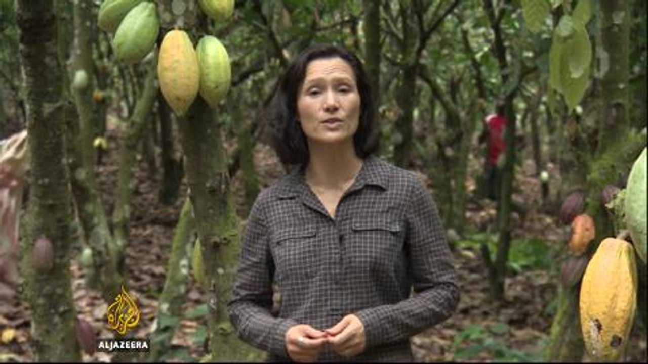 Child workers boost Ivory Coast chocolate industry