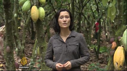 Child workers boost Ivory Coast chocolate industry