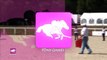 Pony-games ce dimanche 8 novembre 2015 au Centre Equestre Poney-Club d'Orléans la Source