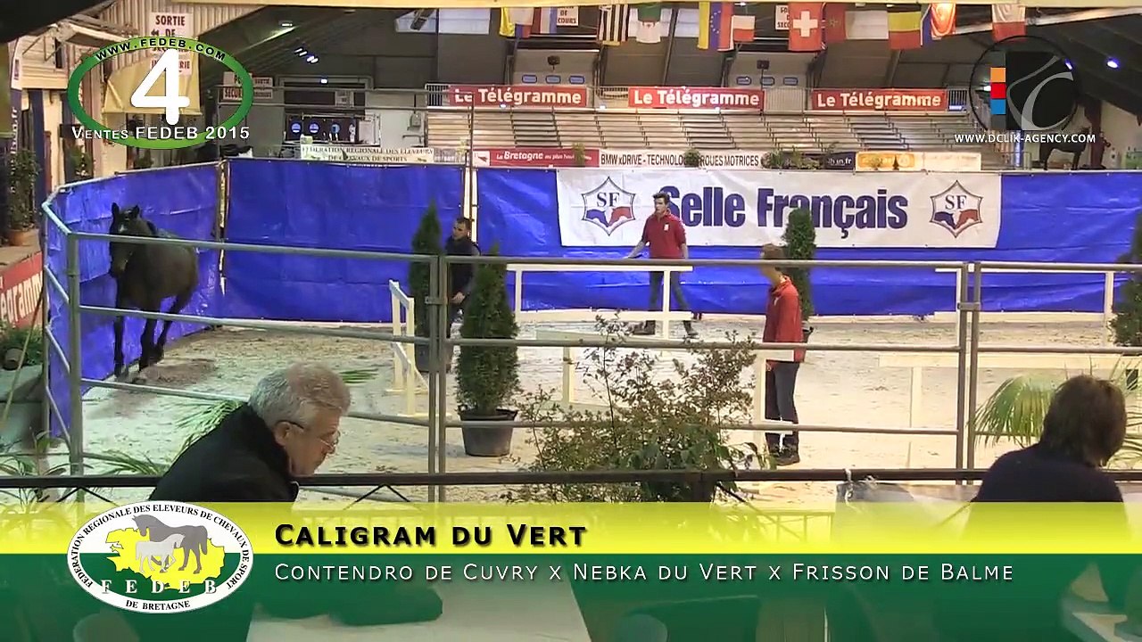 04-Caligram du Vert