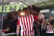 Así celebraron en el palco de Vergara
