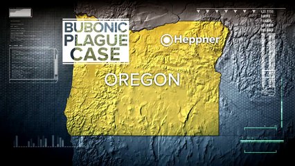 Index: 16 Year Old Girl in Intensive Care After Getting Bubonic Plague