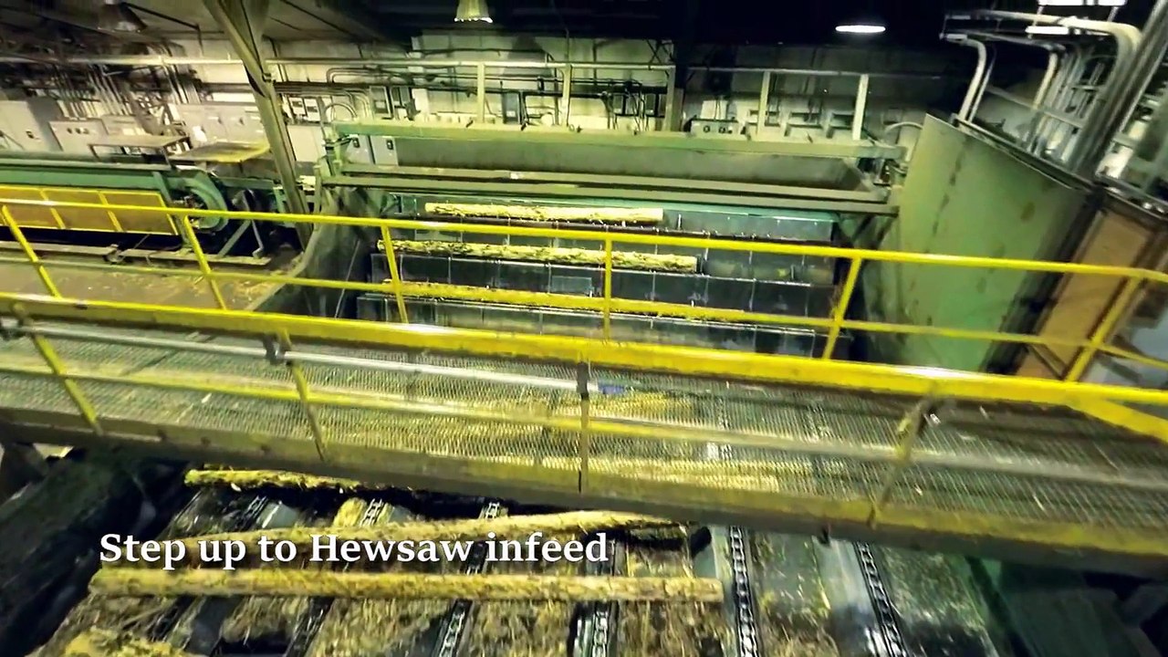 Du tronc à la planche - Visitez une usine de fabrication de planches en bois