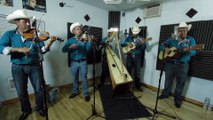 Conjunto De Arpa Grande (El Gavilancillo) Los Rayitos De Michoacan (1080p)