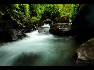 Music to help sleep and ease pain: With Gentle Nature Sounds