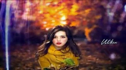 Daimi Özdoğan Divane Gönlüm