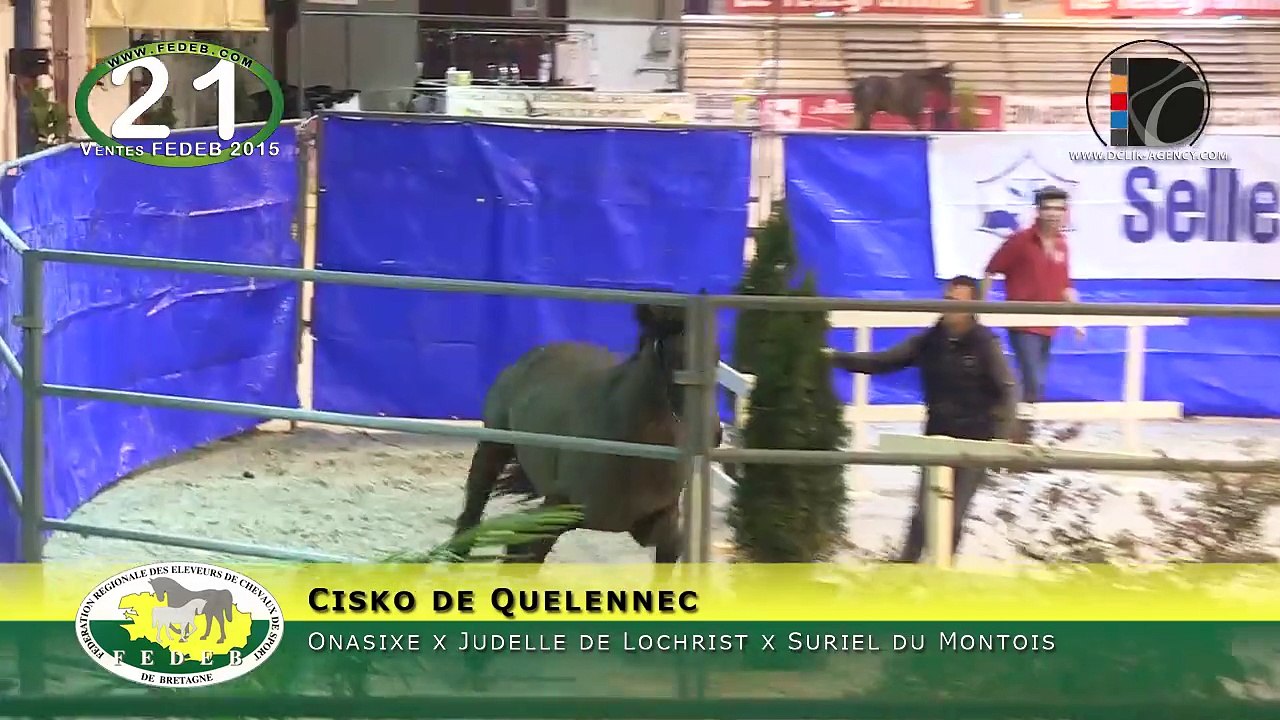 21-Cisko de Quelennec